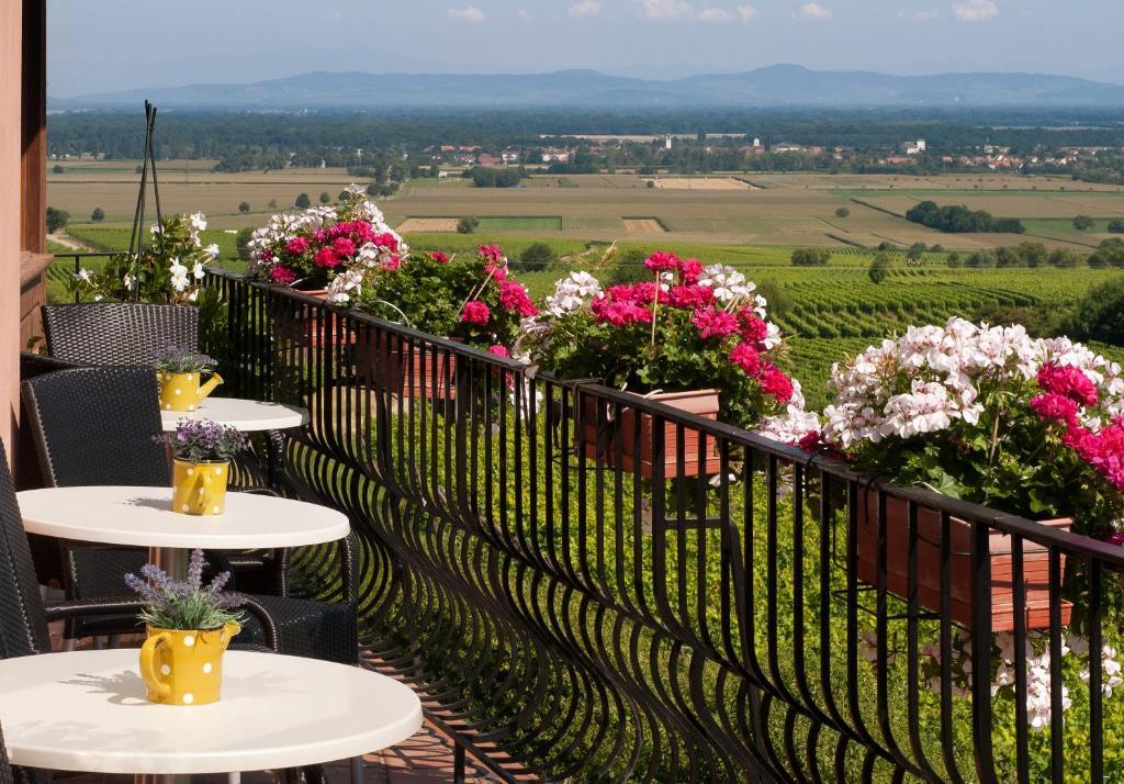 Hotel Restaurant Au Riesling Зеленбер Экстерьер фото